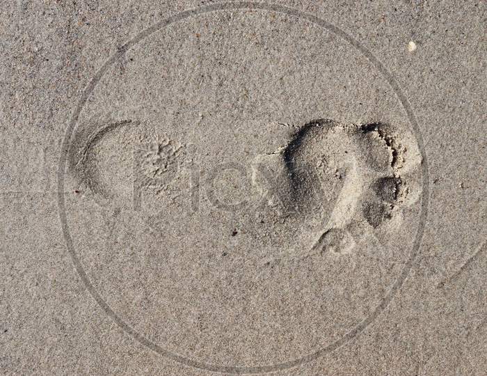 Beautiful detailed footprints in the sand at the beaches of the baltic sea