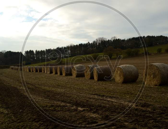 Rolled Straw Bales