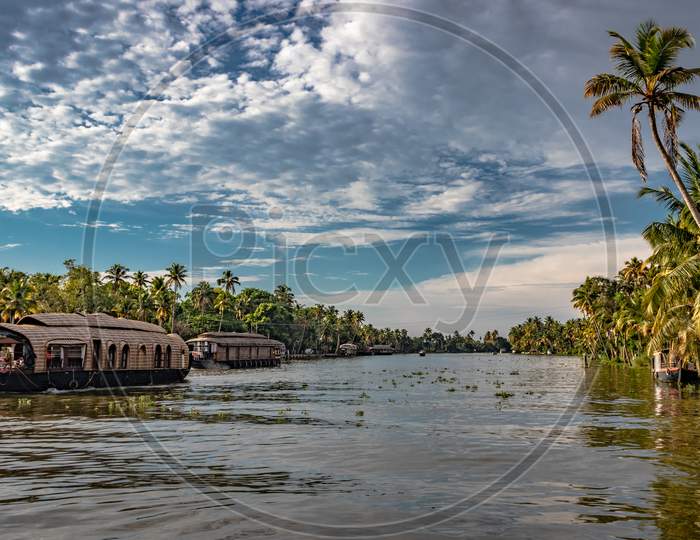 Backwater View With Houseboats And Palm Tree