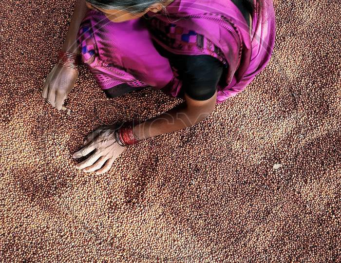 Millet women farmers