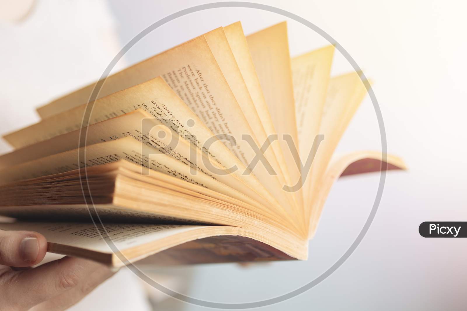 Vintage close up of an old open book with yellow pages. Avid reader, bookworm concept