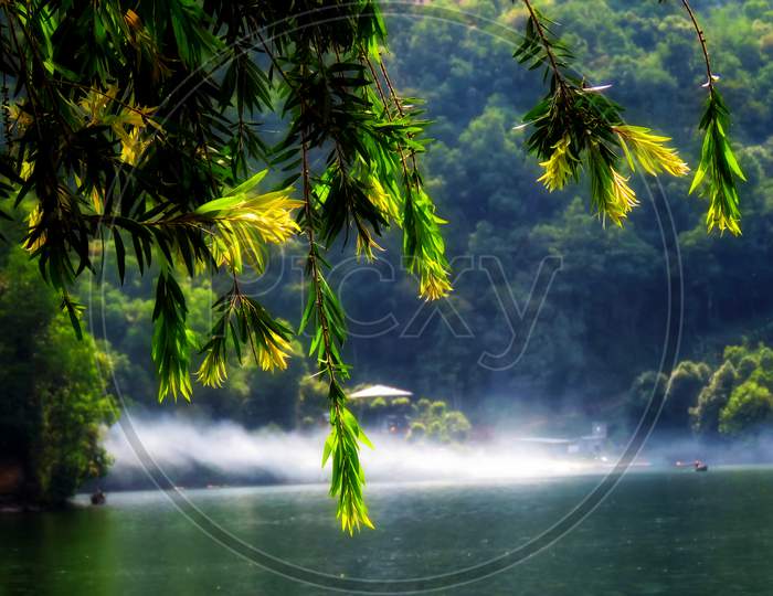 Tropical forest and lake in the morning,Beautiful Tree Leaves,Fog on the Lake.