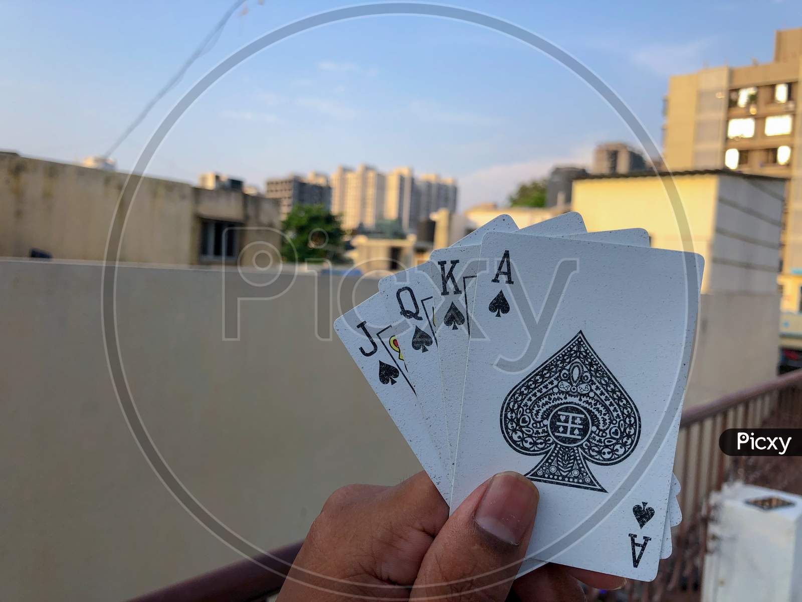 young guy holding four cards in one hand
