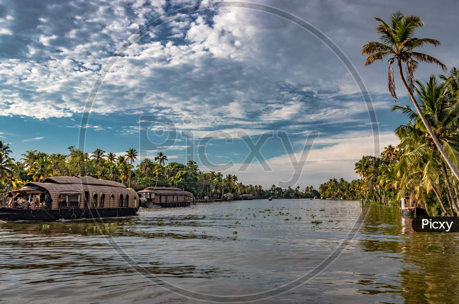 Backwater View With Houseboats And Palm Tree