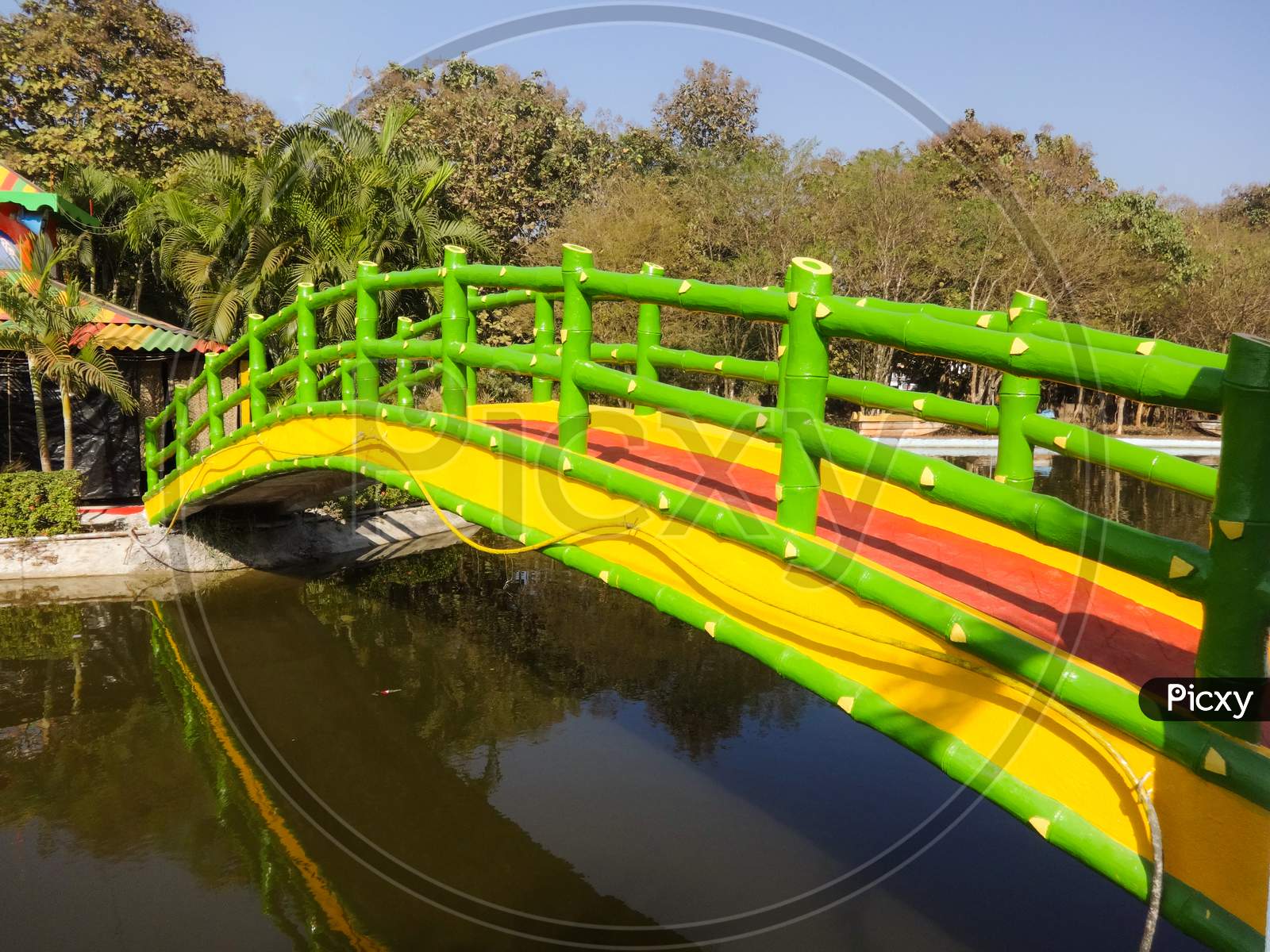 Green and yellow natural landscape waterway