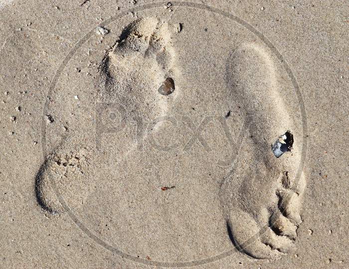 Beautiful detailed footprints in the sand at the beaches of the baltic sea