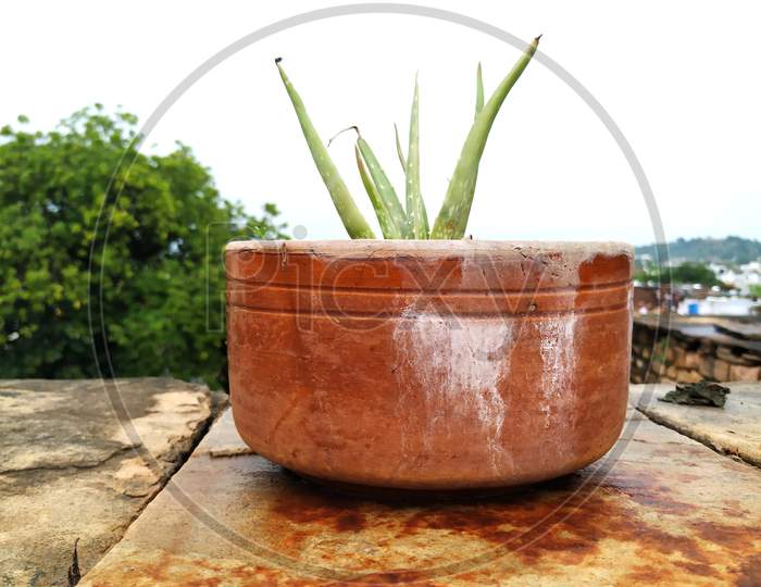 a stone plant pot put on road