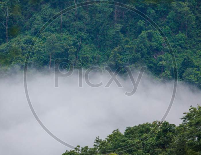 Mist natural moutain landscape