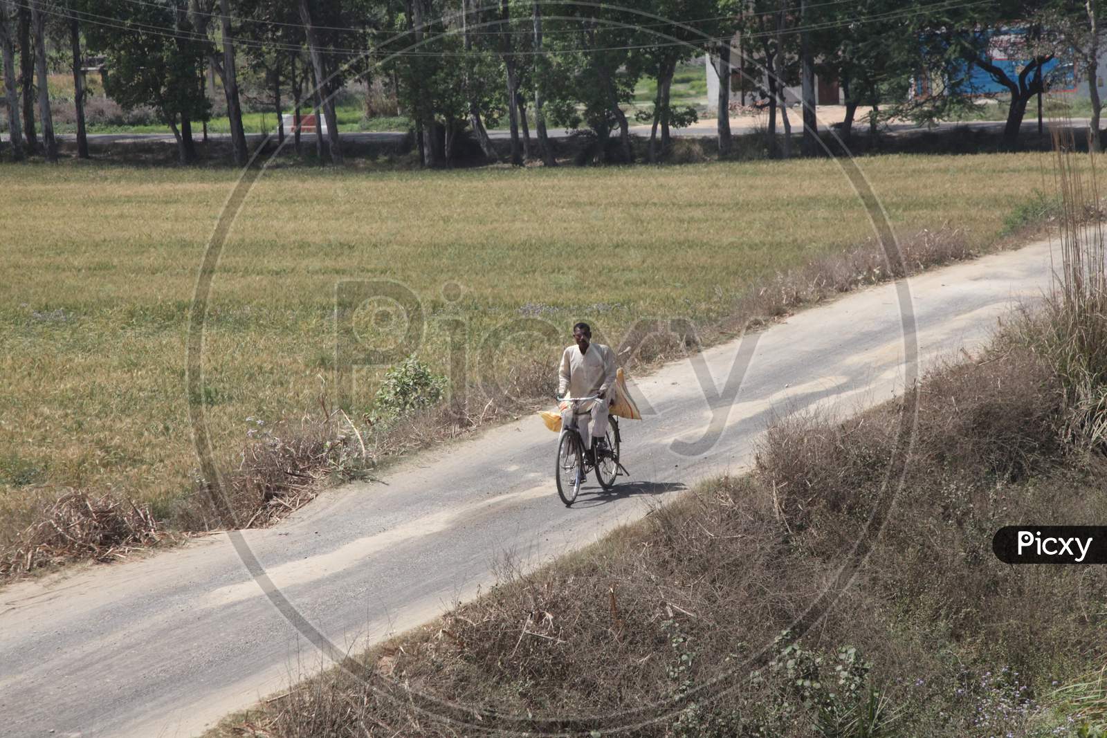 A Person riding a bicycle on a single lane road