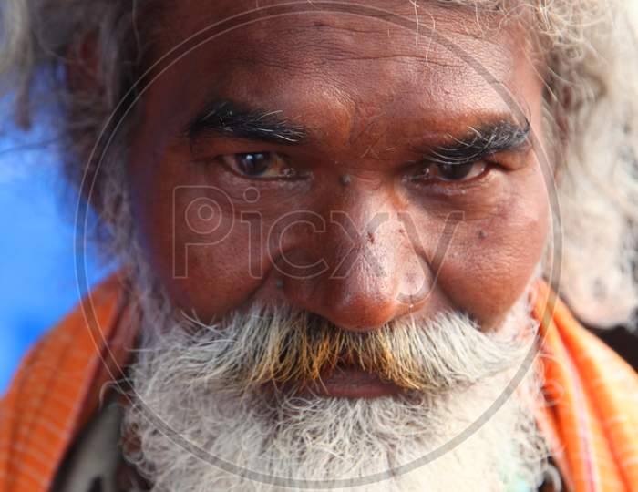 Portrait of an Old Indian Hindu Sadhu or Baba