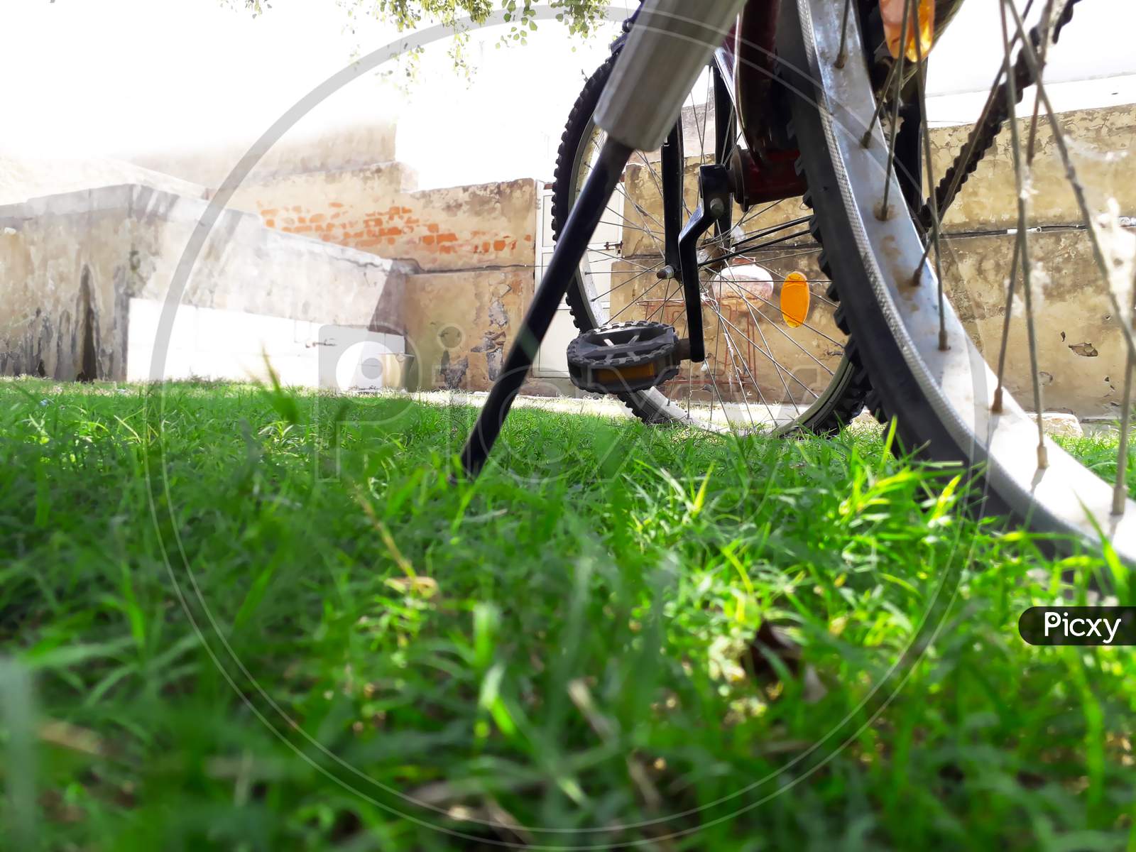 Ground View Of A Standing Bicycle In Home Lawn Or Garden