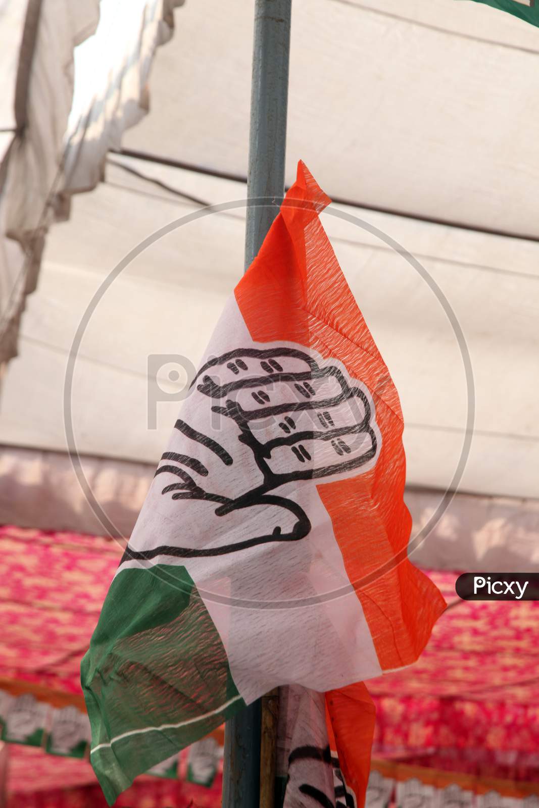 Congress Party Flag