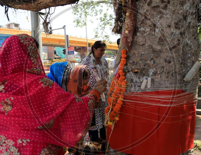Married Hindu Women Pray After Tying Cotton Threads Around A Banyan Tree On The Occasion Of "Vat Savitri Festival", For Their Husbands' Health And Longevity, In Prayagraj, May 22, 2020.