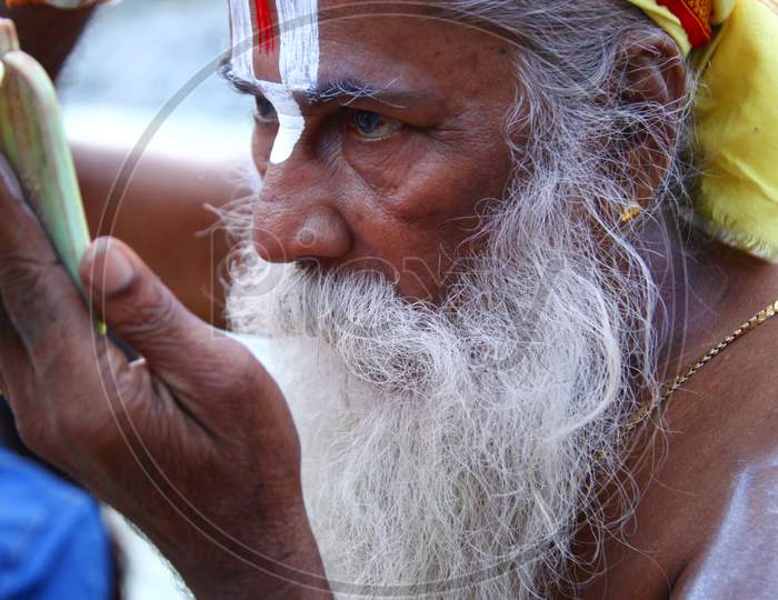 Portrait of an Old Indian Hindu Sadhu or Baba Keeping Namam for Forehead