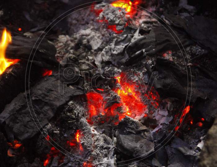 Close up shot of Coal with Fire