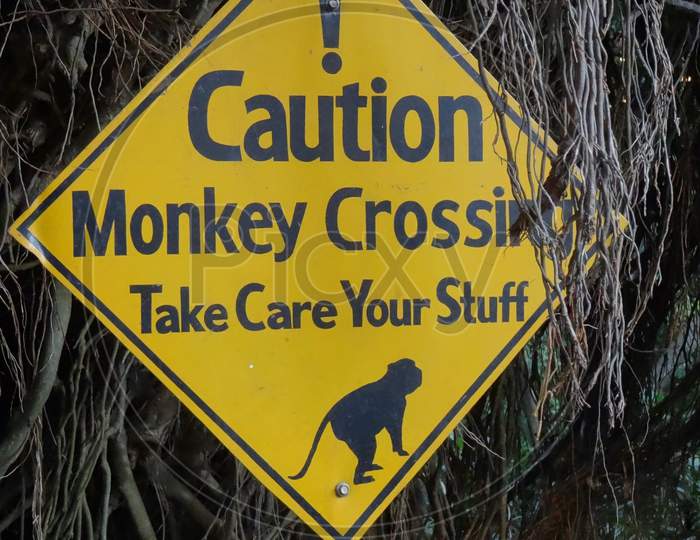 Monkey Crossing Sign