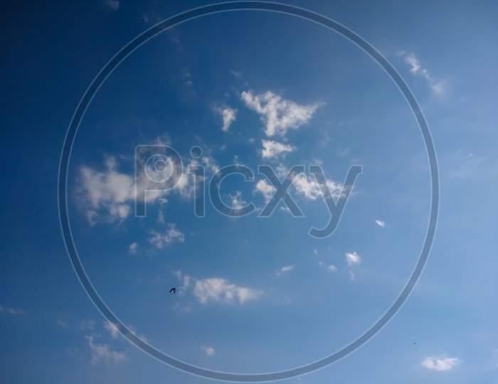 beautiful photo of blue sky during summer time