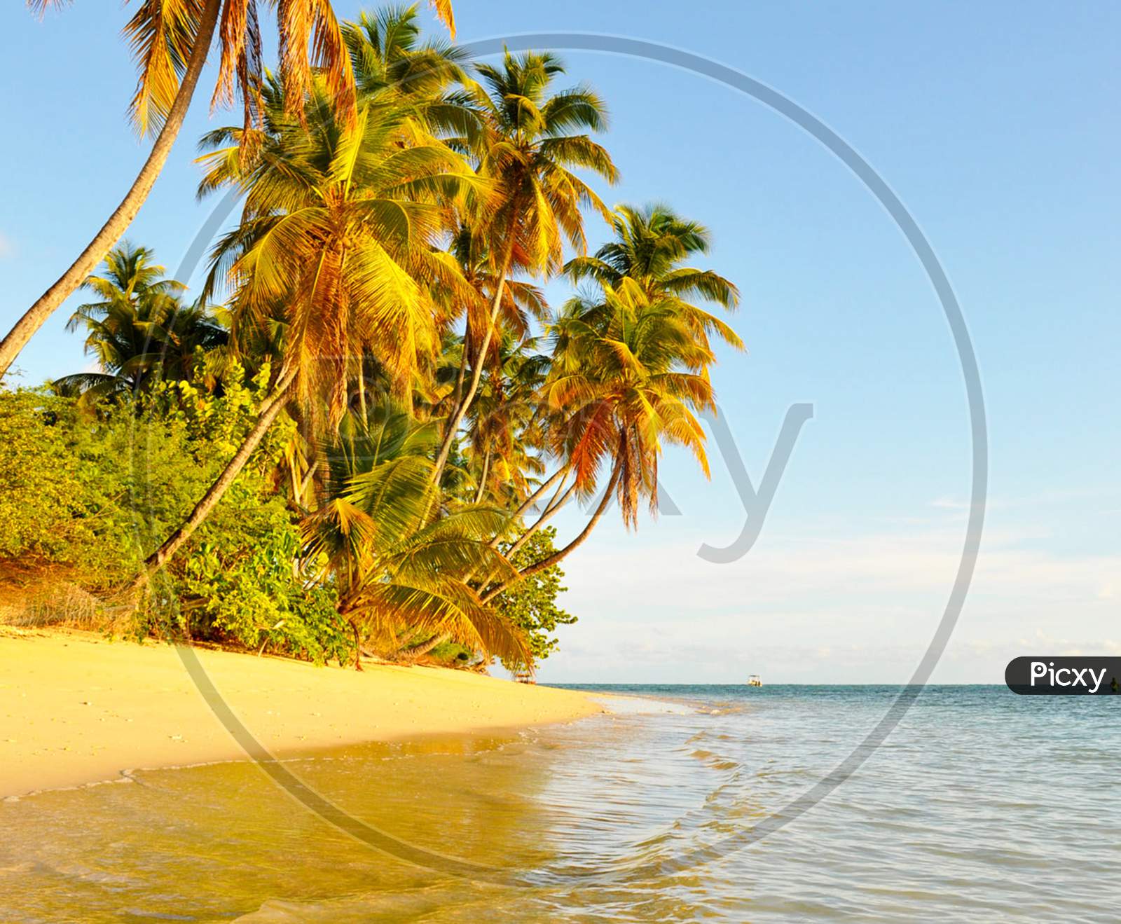 Beautiful pictures of Trinidad and Tobago