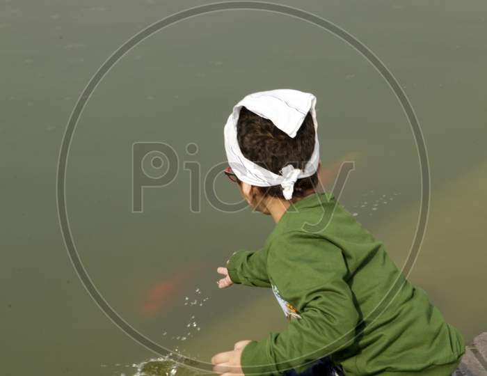 A kid feeding fishes in Golden Temple