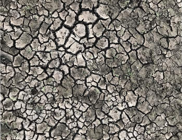 Dried Cracked Earth Black Soil Ground Texture Background