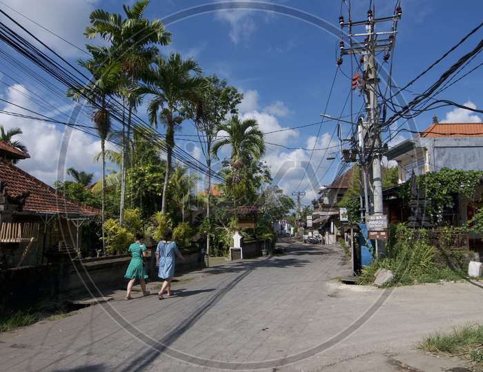 View Of Jalan Bisma Road In Ubud, Bali