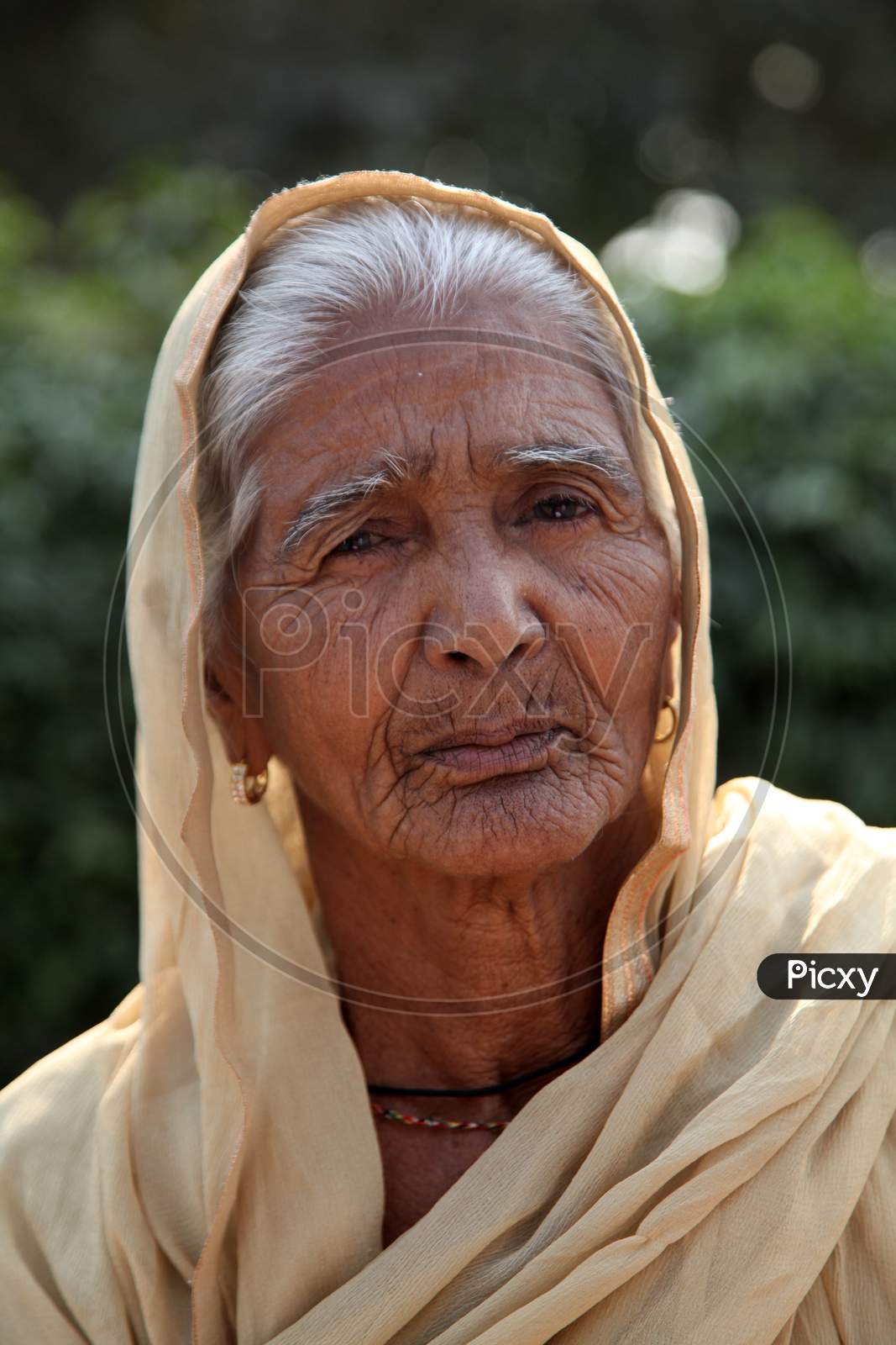 Portrait of an Old Indian Women