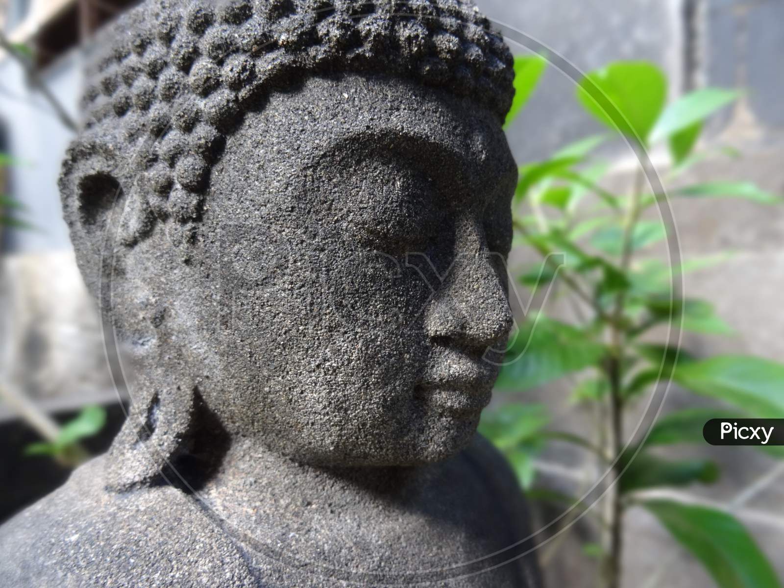 Close Up Of A Small Buddha Statue