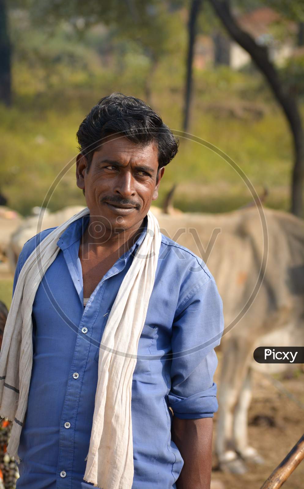TIKAMGARH, MADHYA PRADESH, INDIA - NOVEMBER 15, 2019: Portrait of unidentified Indian man at their village, Tikamgarh, Madhya pradesh, India