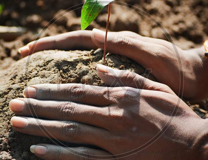 Farmer hand planting young tree on back soil as care and save wold concept