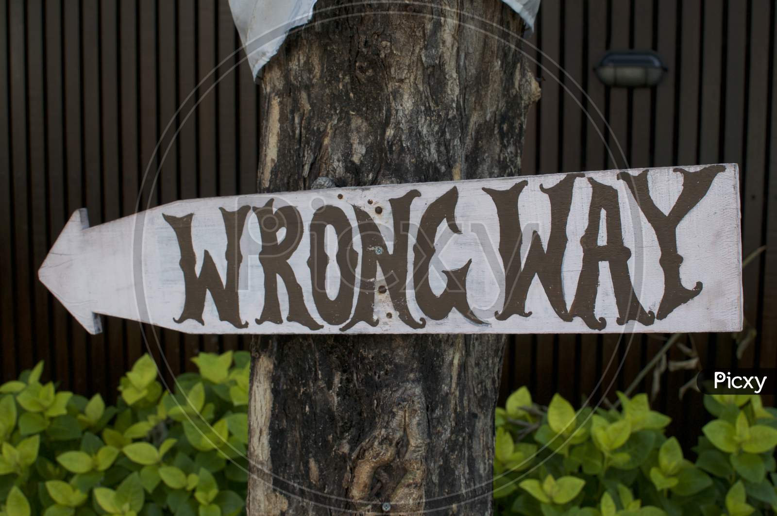 Wrong Way Signage