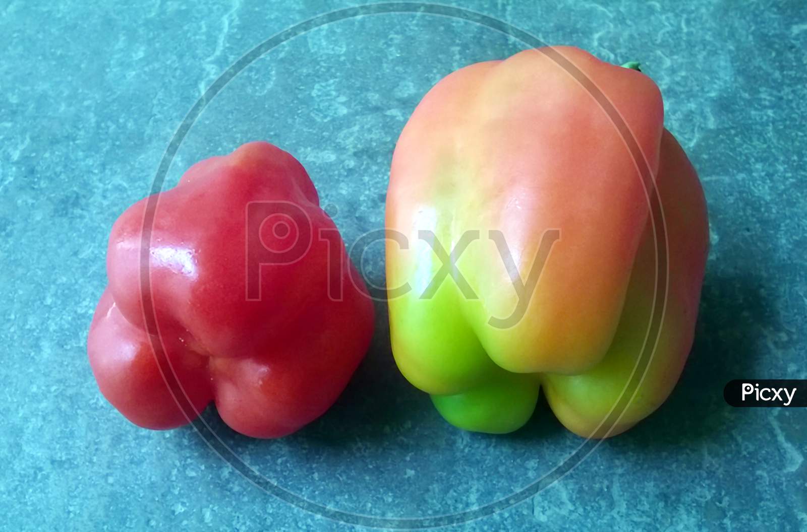 multi color capsicum isolated on stone background