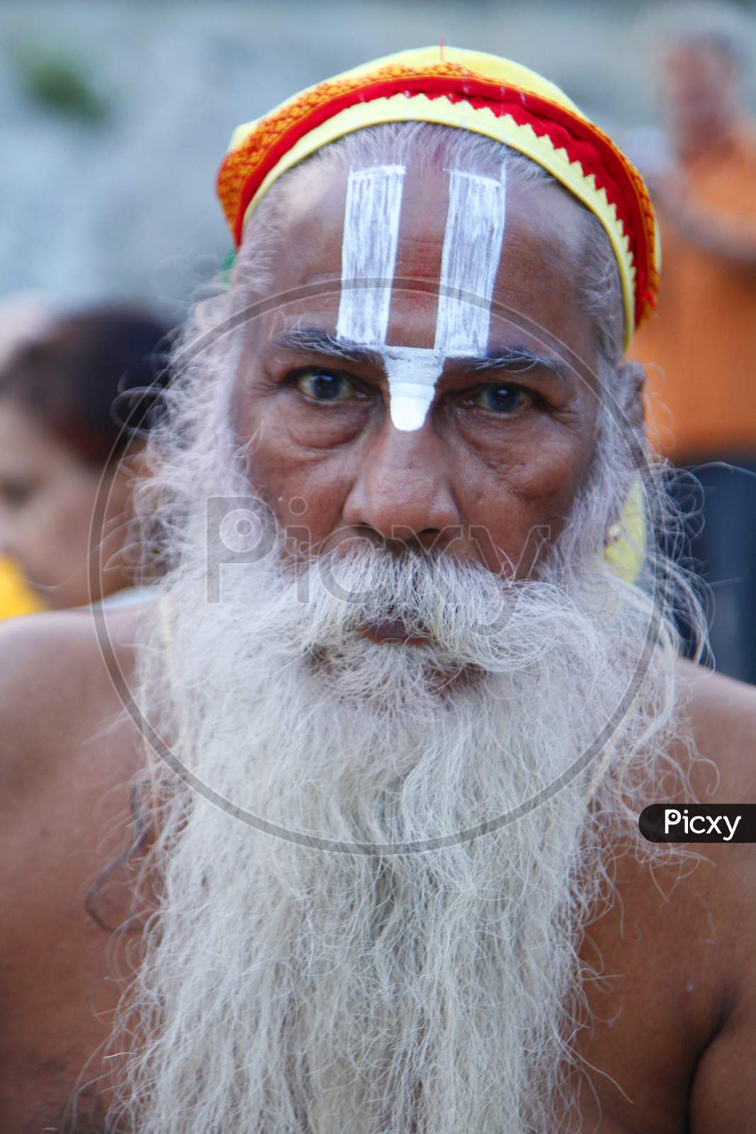 Portrait of an Old Indian Hindu Sadhu or Baba with Namam