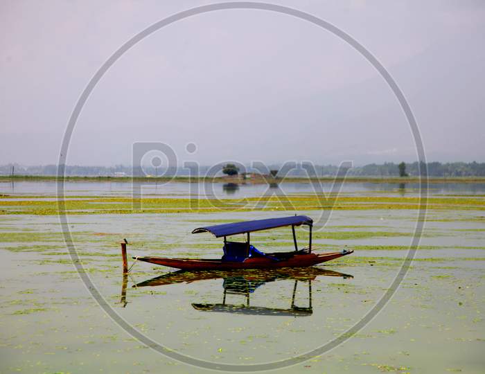 Shikara Boat In Dal Lake , Kashmir India (Photo Copyright © by Saji Maramon)