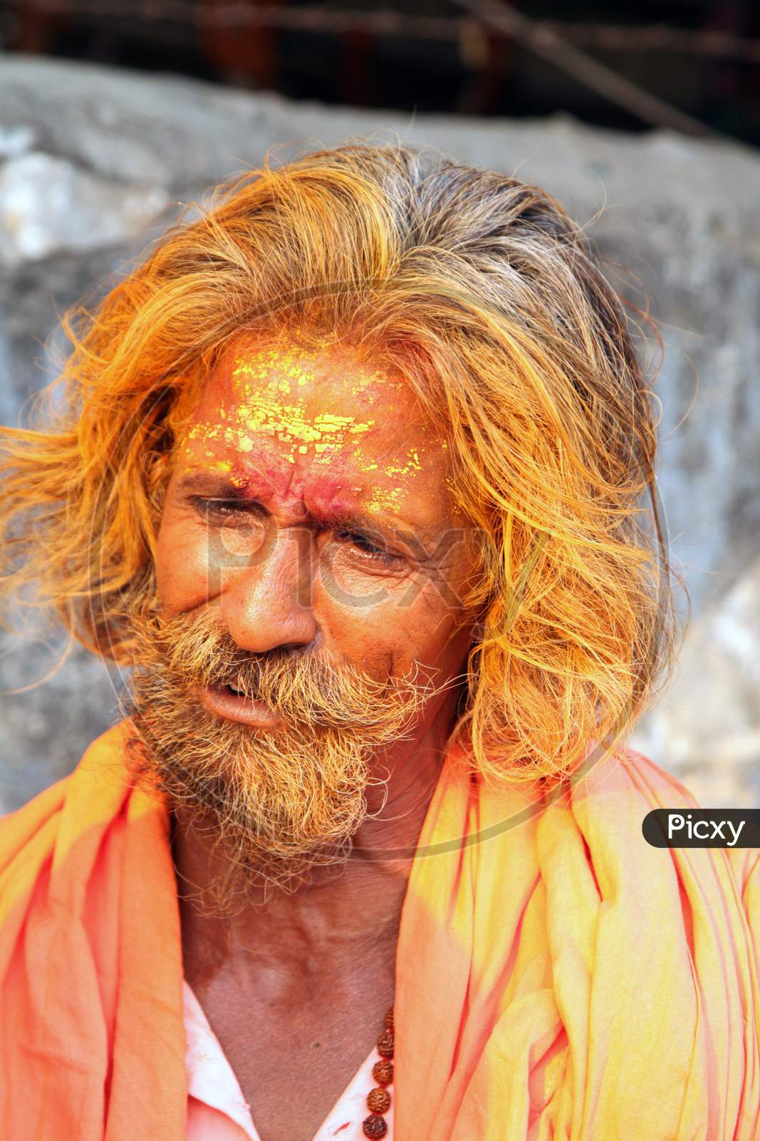 Portrait of an Indian Hindu Sadhu or Baba