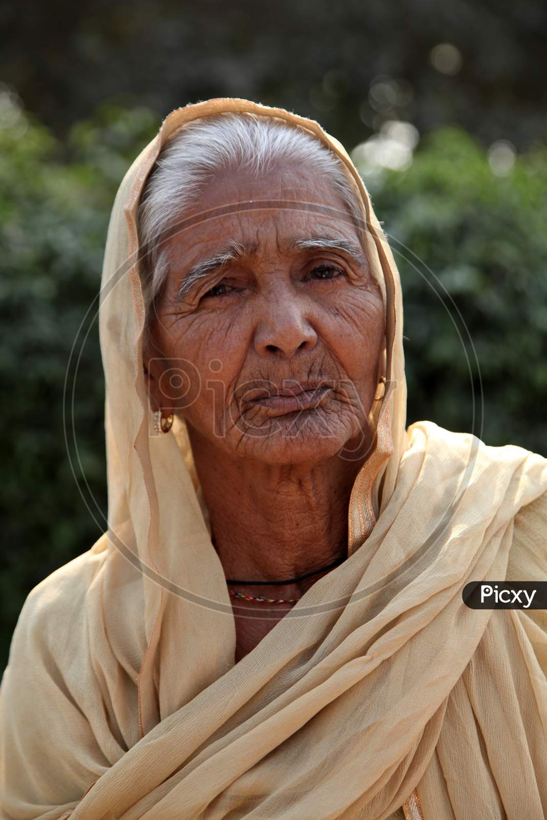 Portrait of Old Indian Women