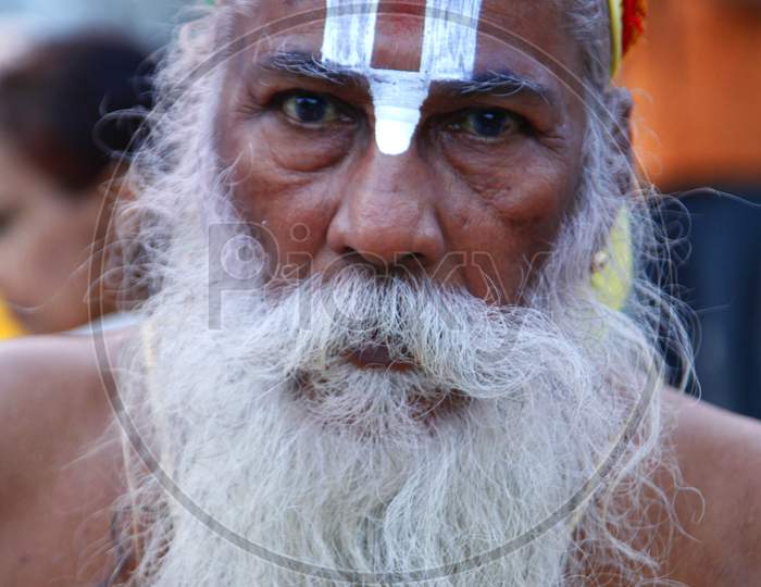 Portrait of an Old Indian Hindu Sadhu or Baba with Namam