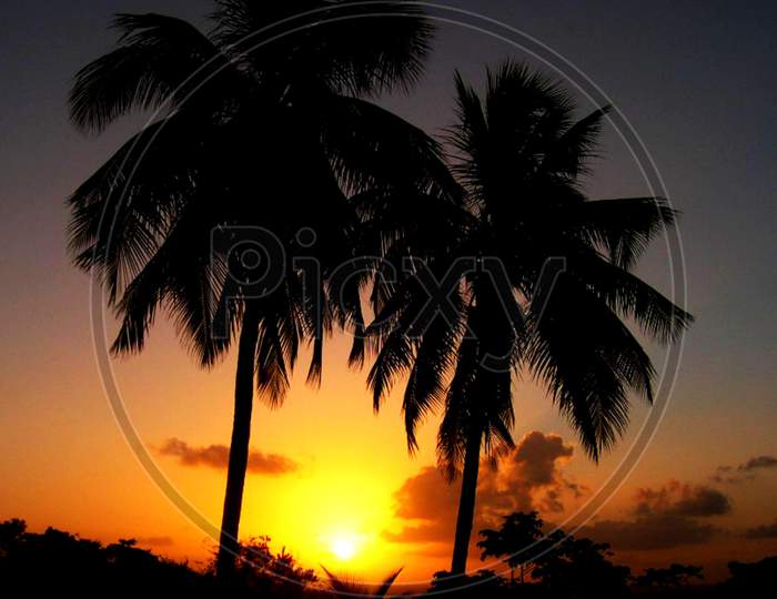 Beautiful pictures of Trinidad and Tobago