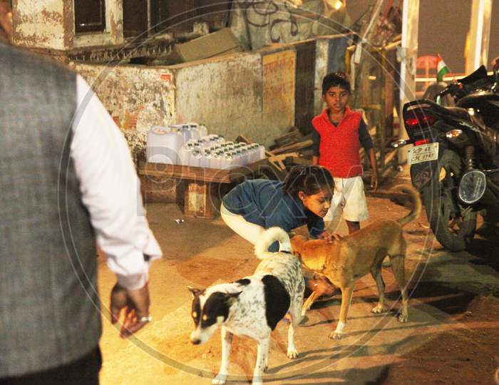 Kids Playing with Dogs in  Varanasi