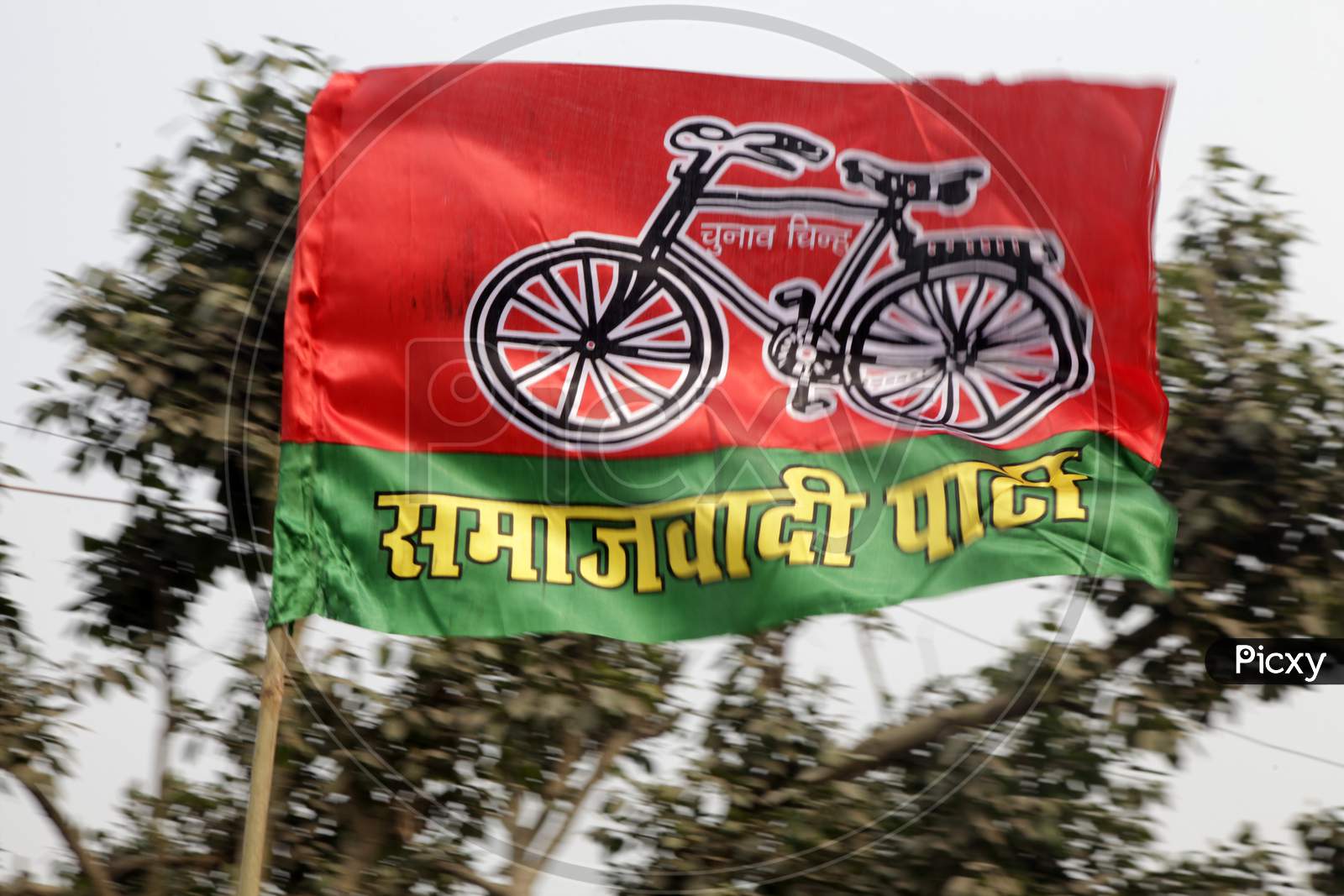 Flag of Samajwadi Party