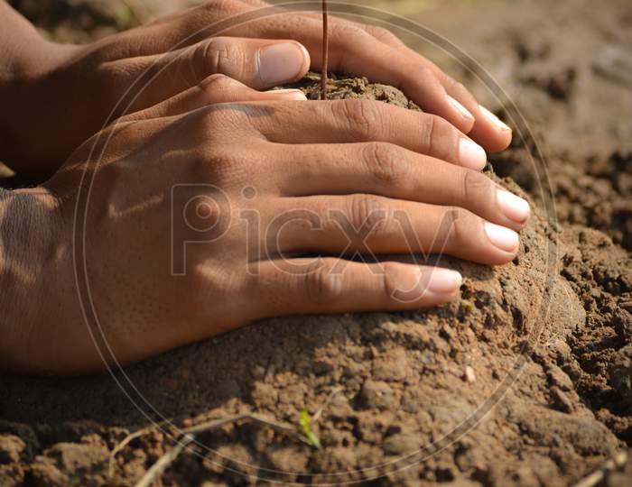 Farmer hand planting young tree on back soil as care and save wold concept