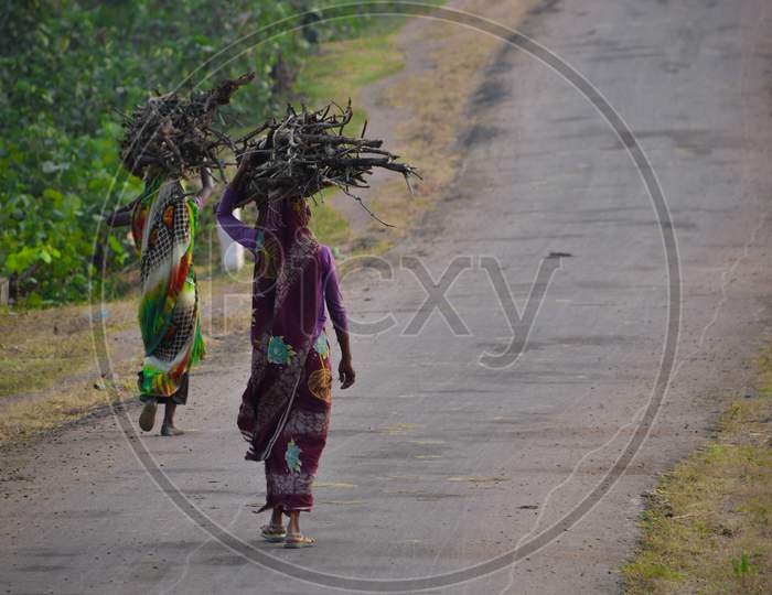 indian women carrying wood branchs on their heads. Indian girl carrying wood on head at the road, An Indian rural scene.