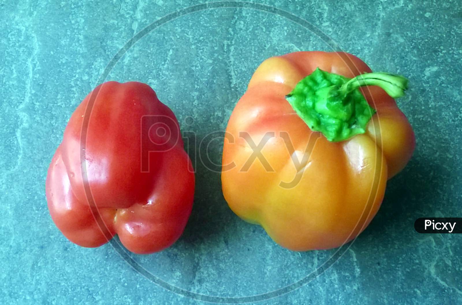 multi color capsicum isolated on stone background