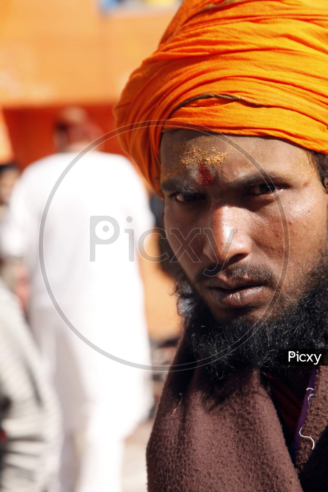 Portrait of a Indian Hindu Sadhu or Baba