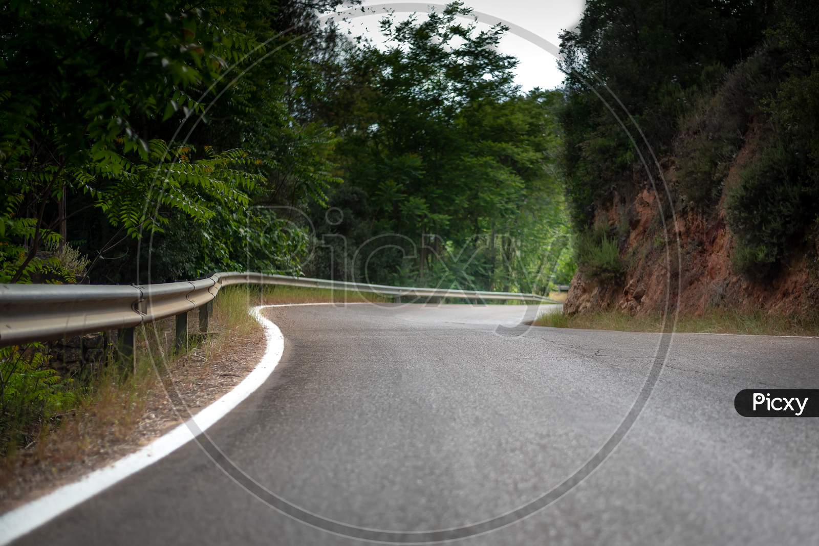 Curved Road In The Forest With White Lines