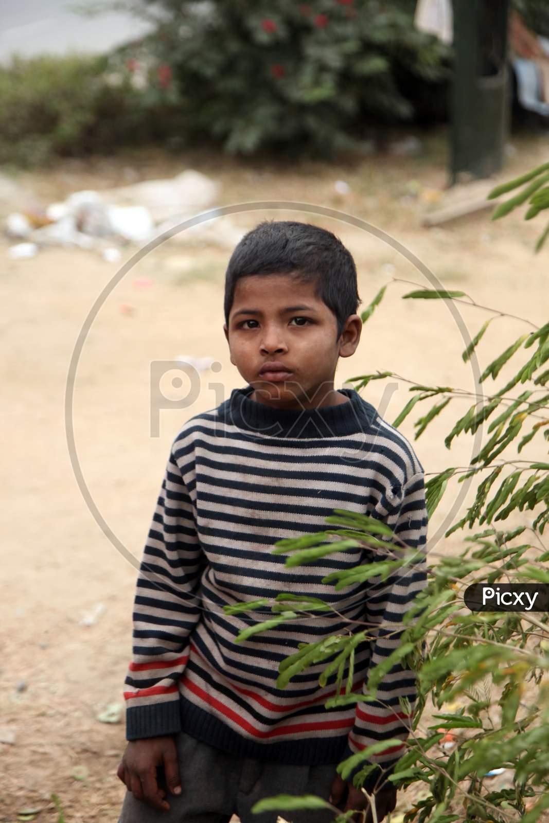 Portrait of an Indian Rural Kid