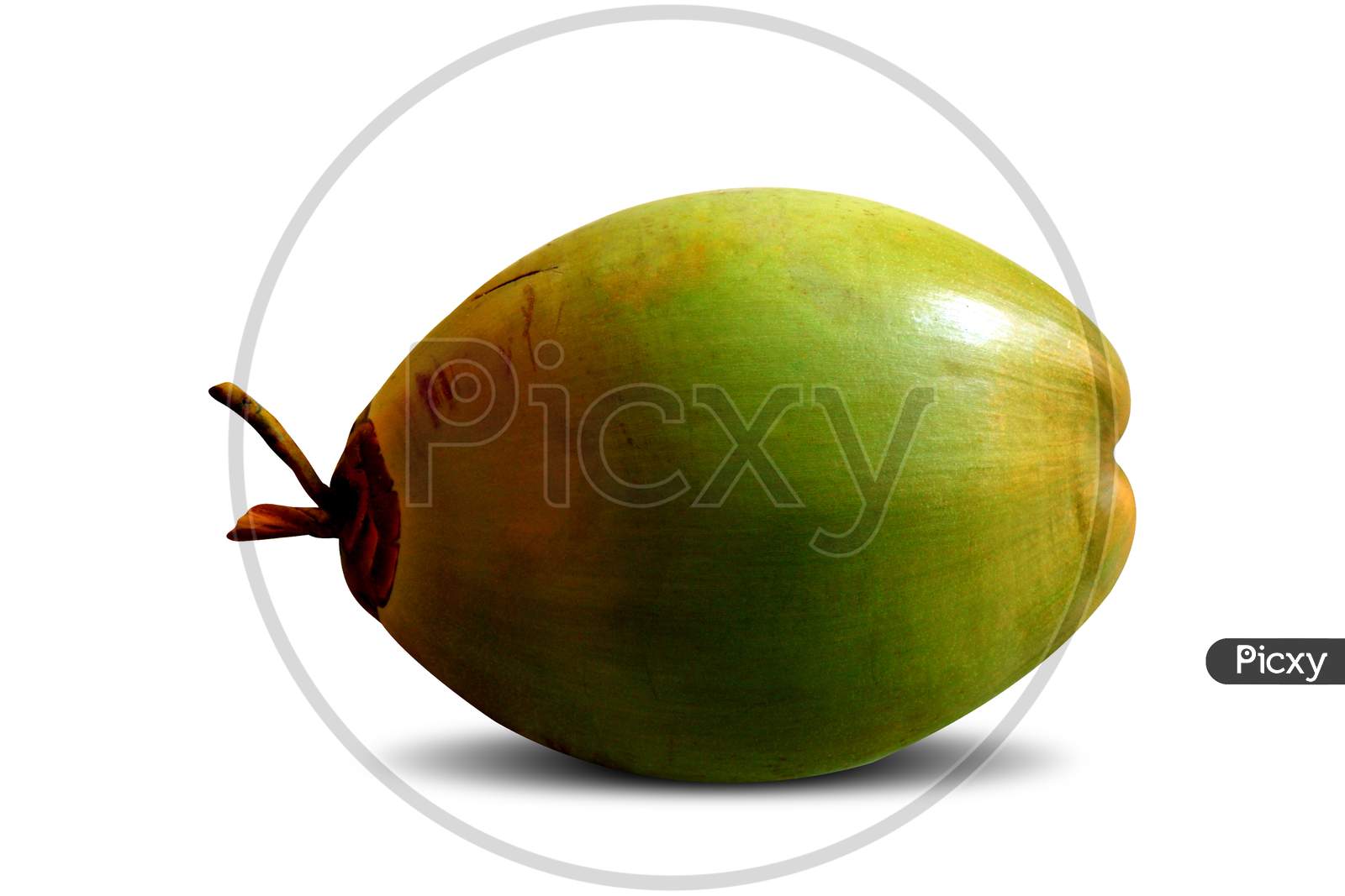 Green Young Coconut