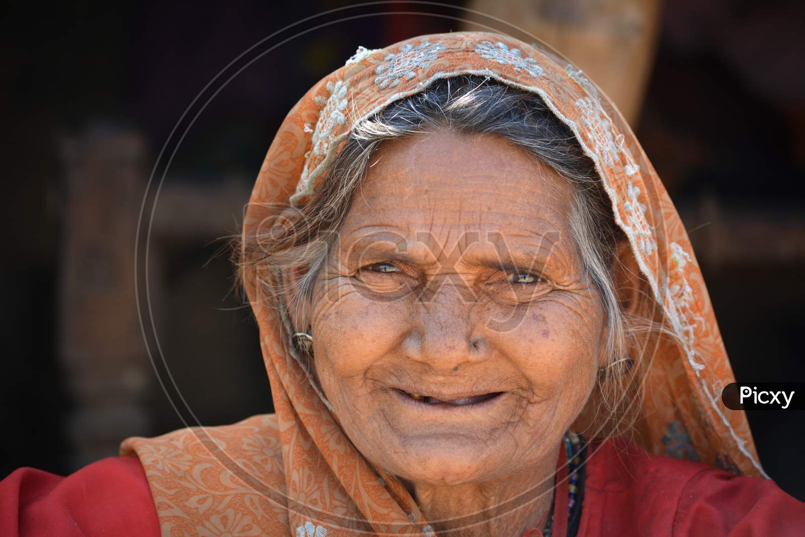 TIKAMGARH, MADHYA PRADESH, INDIA - FEBRUARY 03, 2020: Closeup portrait of an old indian woman at her village.