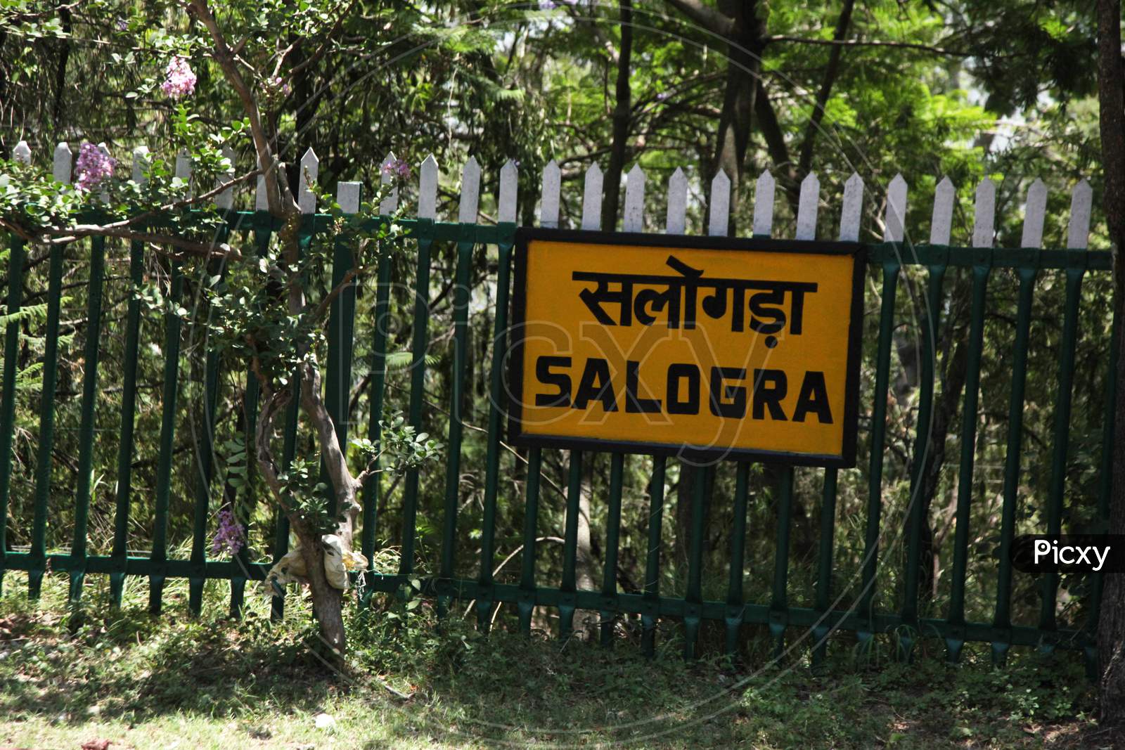Salogra railway station Himachal Pradesh