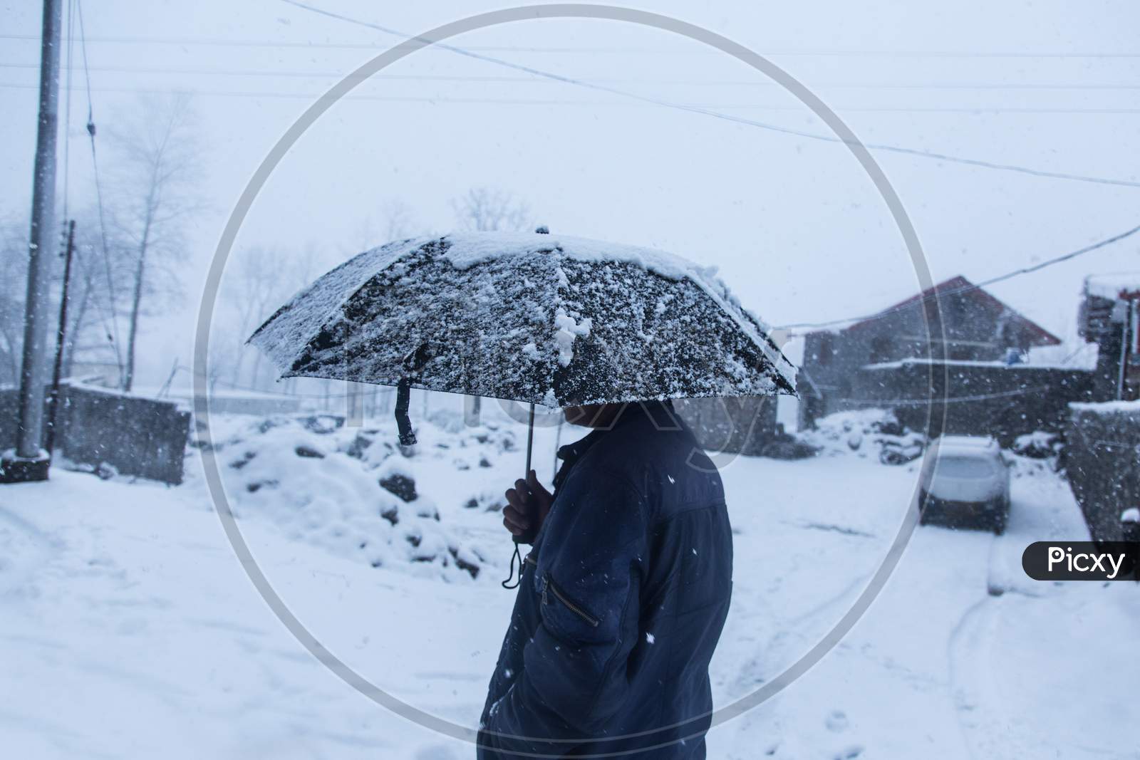 Winter Snow Falling,A Person Walking With Black Umbrella, Background - Image