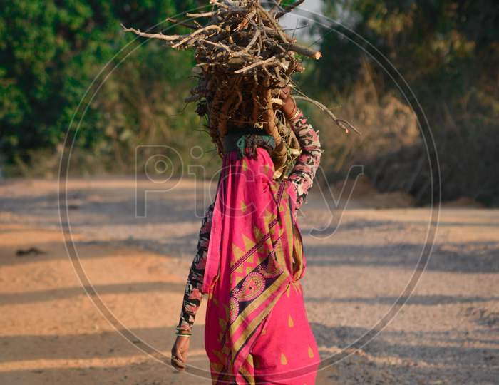 Indian woman carrying wood on head at the road, An Indian rural scene.